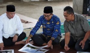 IMG-20250217-WA0153