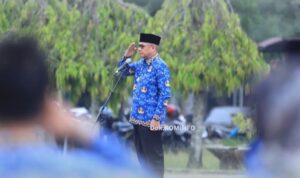 Oplus_131072